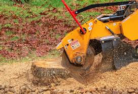 Best Organic Lawn Care Solutions  in Ladson, SC